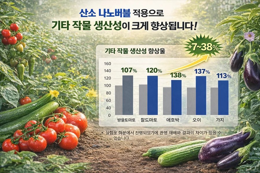 산소 나노버블 적용에 따른 과채류(토마토, 애호박 등) 수확량 비교 그래프