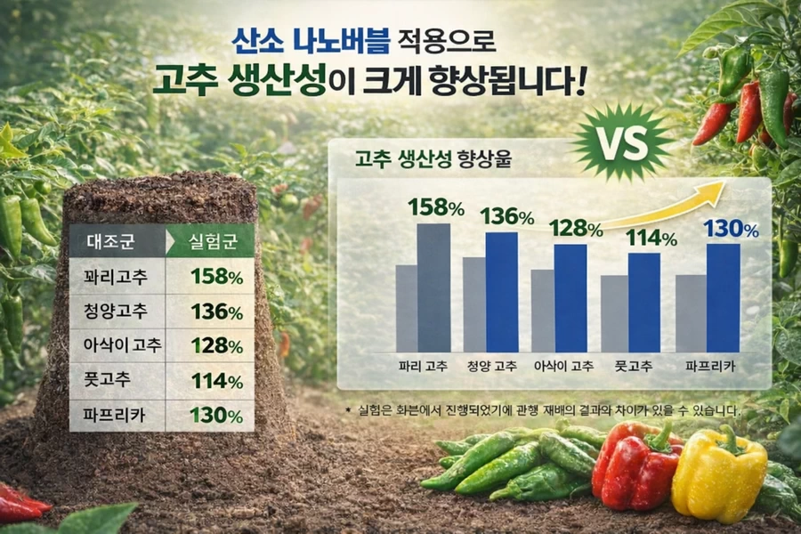 산소 나노버블 적용에 따른 고추류 품종별 수확량 비교 그래프