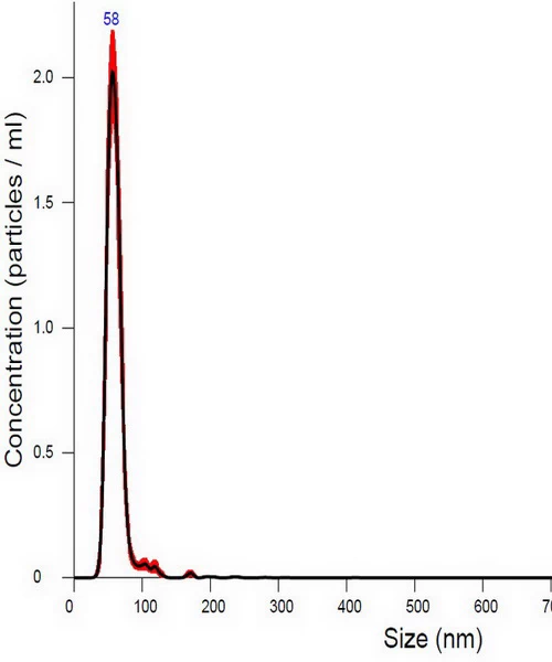 아너테크 나노버블 입자 크기 분포(Size Distribution) NTA 분석 그래프